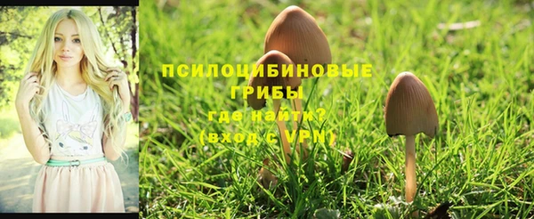 кокс Волоколамск