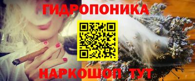 2c-b Обь