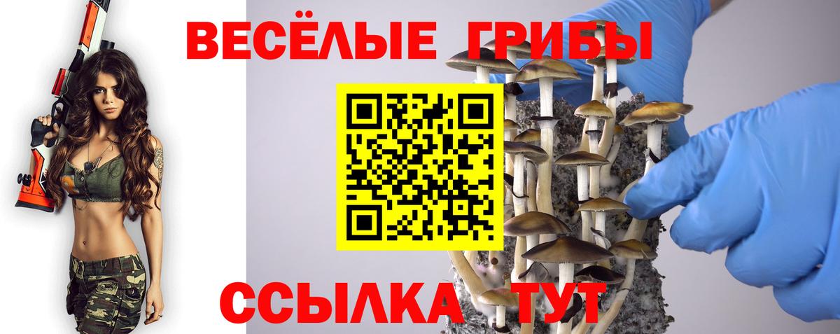 Нефтекамск  Псилоцибиновые грибы Cubensis  как найти закладки  Вход с VPN 